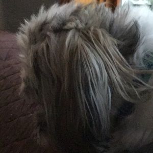 Meet your Posher, Sharon